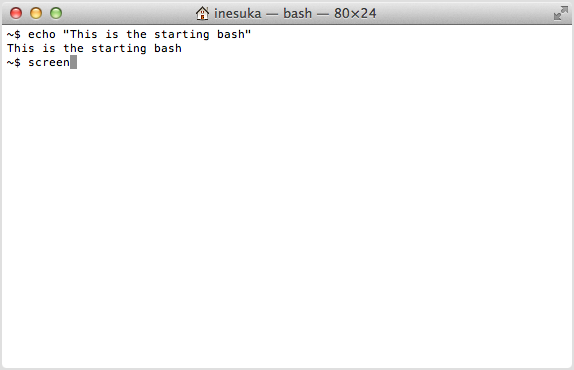The starting bash