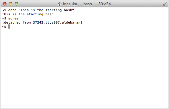 The initial bash again