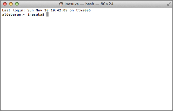 The terminal screen