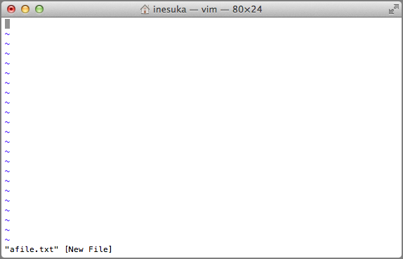 The Vi initial screen